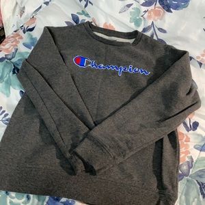 Champion sweater